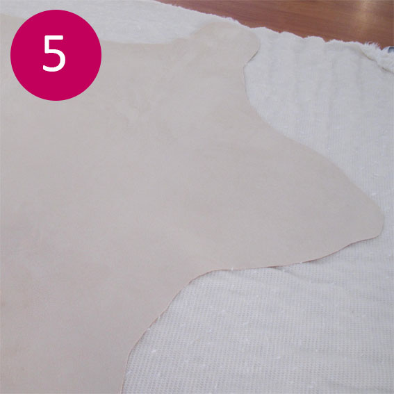 ours tuto 5
