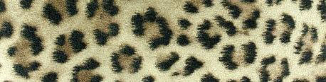 tissu-suedine-leopard-grandes-taches-x-10cm