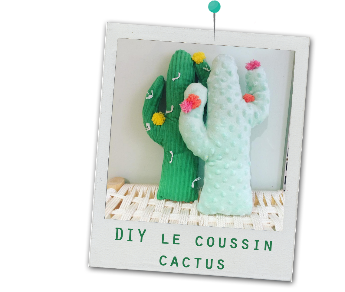 diy cactus