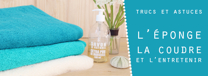 image une trucs et astuces éponge