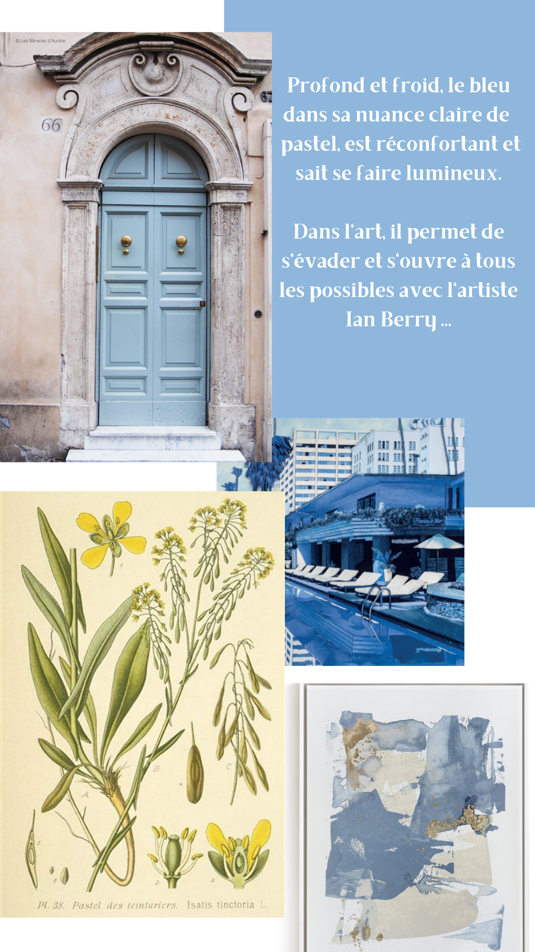 La Box Maille Petit Pull : Les Inspirations en art et architecture