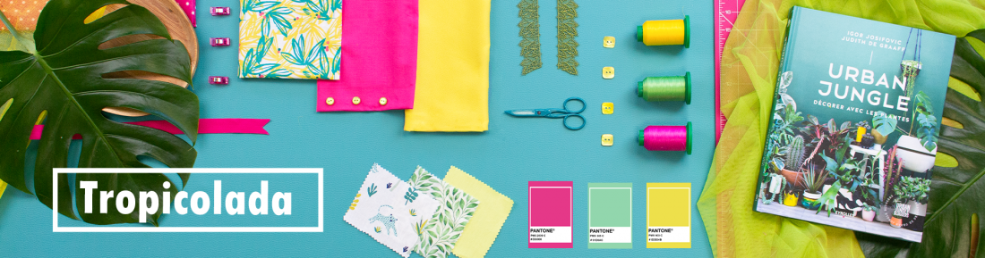 Bannière Moodboard Tropicolada