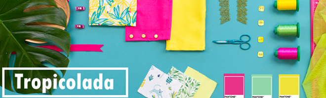 Bannière Blog Moodboard Tropicolada