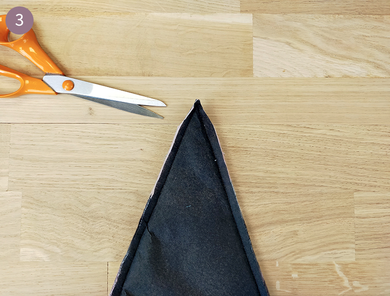 pointe chapeau de sorcière