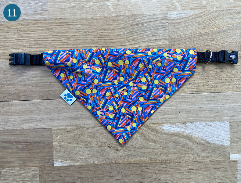 bandana pour animaux de compagnie