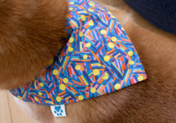 tuto bandana chien bannière